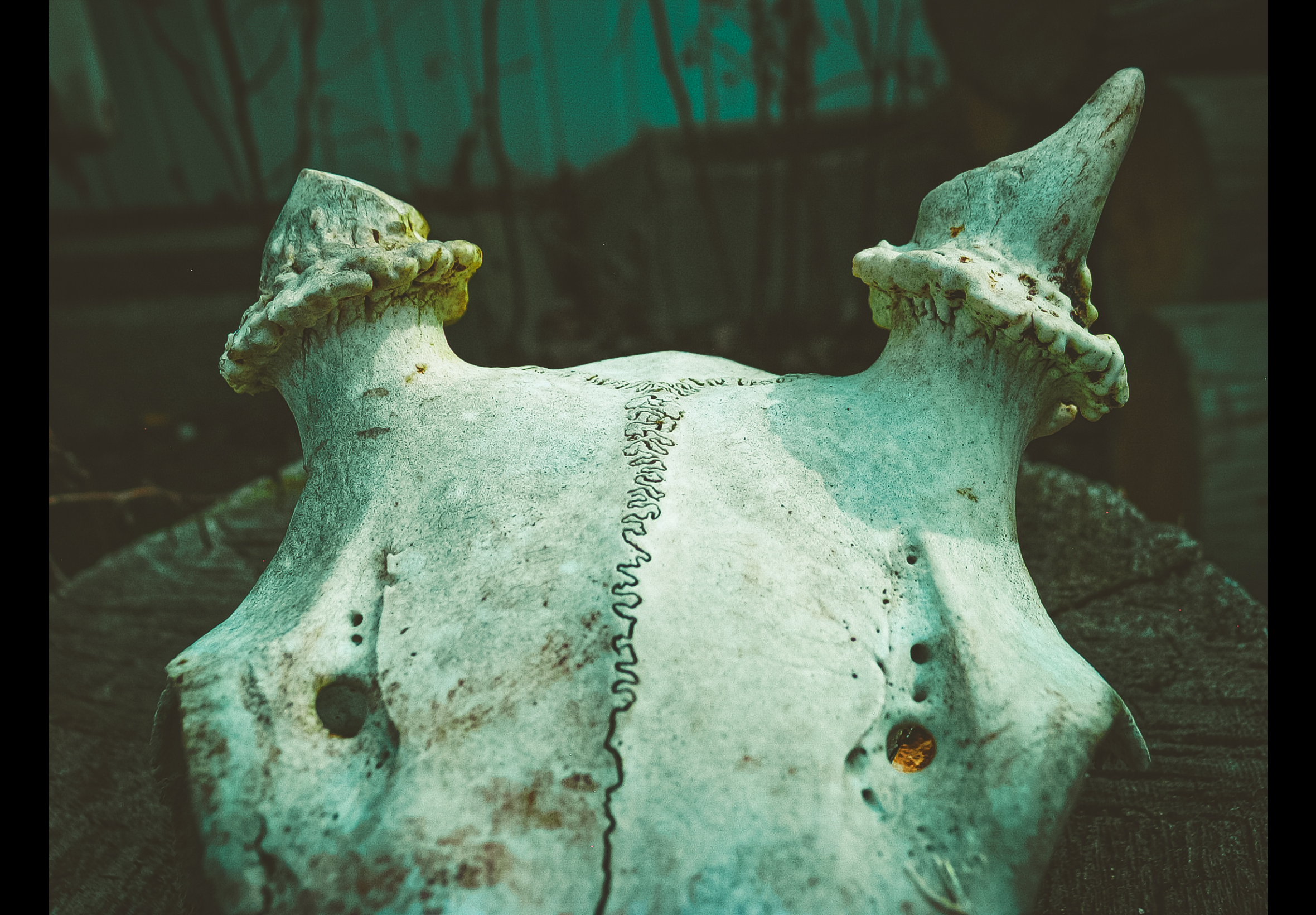 Selected Work 31